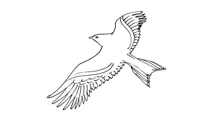 Coloriage Oiseaux - Oiseau 14 