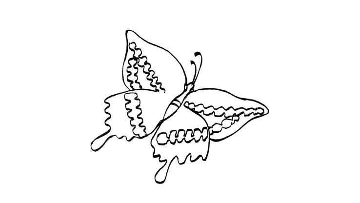 Coloriage Papillons - Papillon 13 