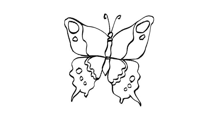 Coloriage Papillons - Papillon 15 