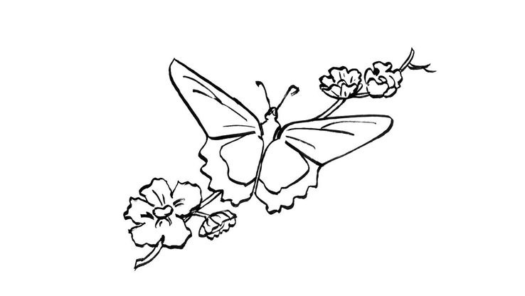 Coloriage Papillons - Papillon 7 