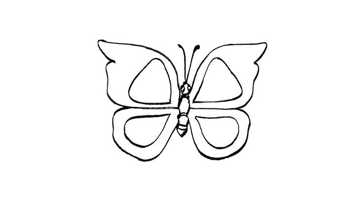 Coloriage Papillons - Papillon 9 