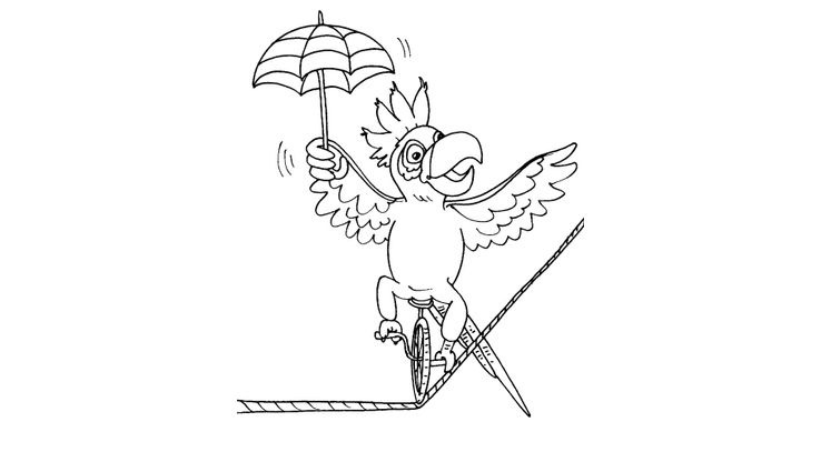 Coloriage Perroquets - Perroquet 21 