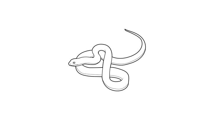 Coloriage Serpents - Serpent 10 
