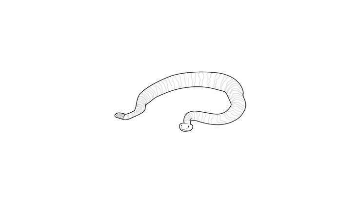 Coloriage Serpents - Serpent 7 