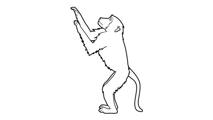 Coloriage Singes - Singe 4 