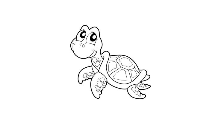 Coloriage Tortues - Tortue 17 