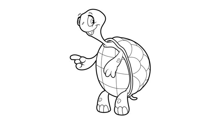 Coloriage Tortues - Tortue 19 