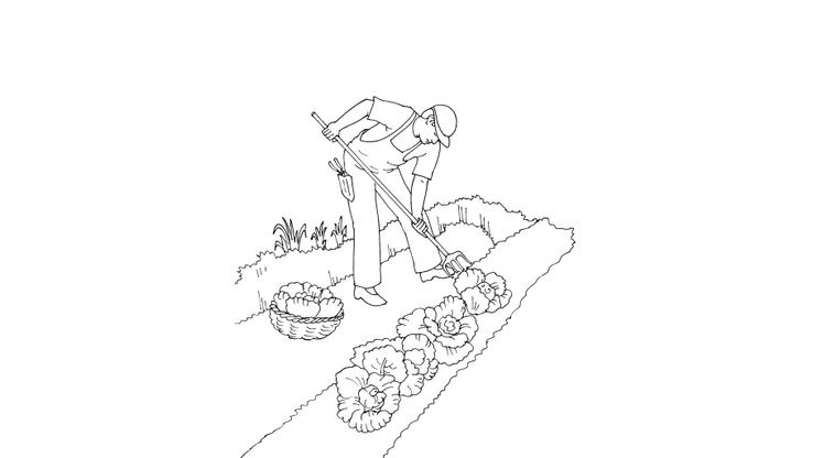 Coloriage Jardiniers - Jardinier 10 