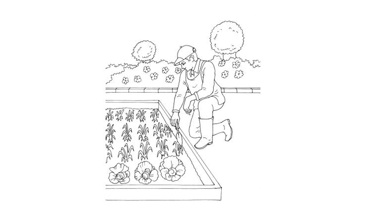 Coloriage Jardiniers - Jardinier 3 