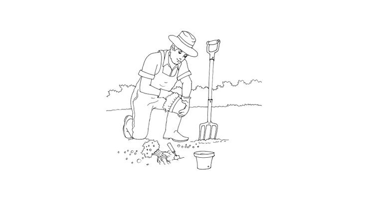 Coloriage Jardiniers - Jardinier 4 