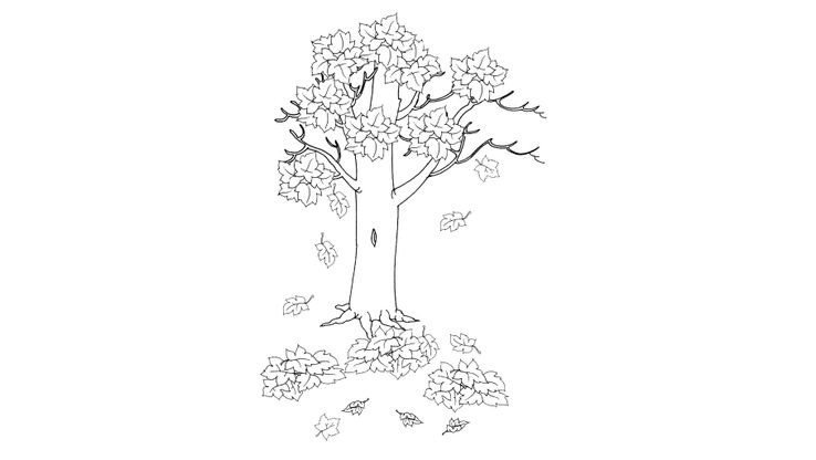 Coloriage Automne - Automne 12 