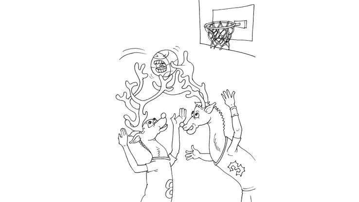 Coloriage Basket - Basket 24 