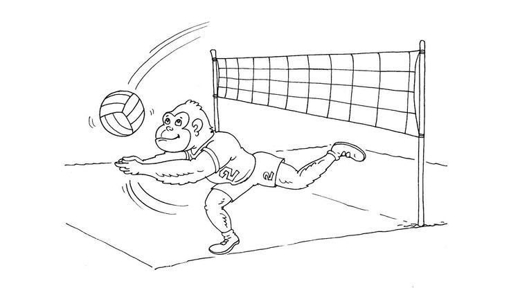 Coloriage Volley - Volley 29 