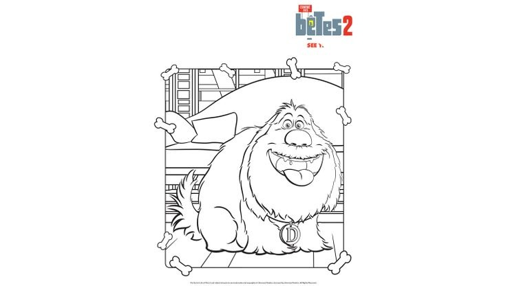 Duke - Coloriages Divers - comme des betes 2