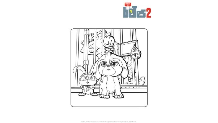 Pompon et Daisy - Coloriages Divers - comme des betes 2