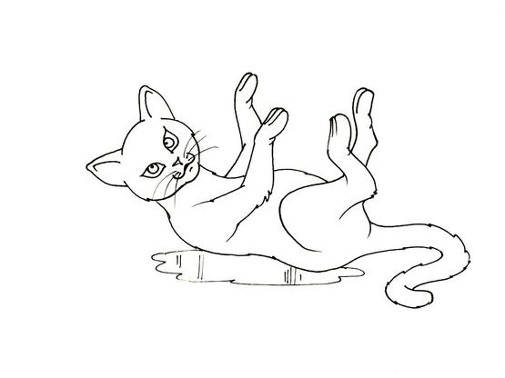 Coloriage Chat 1 Coloriage Chats Coloriages Animaux Coloriage Chat 1 Coloriage Chats Coloriages Animaux