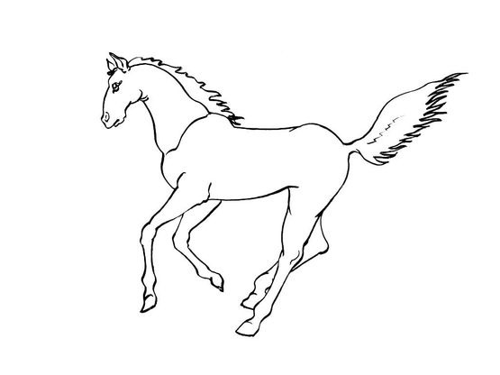 Coloriage Cheval 3 Coloriage Chevaux Coloriages Animaux