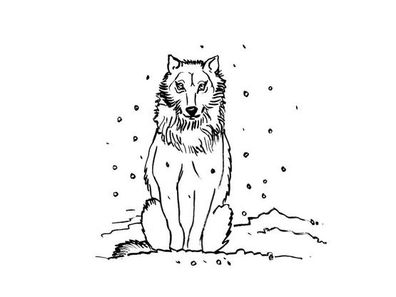 Coloriage Loup 10 Coloriage Loups Coloriages Animaux