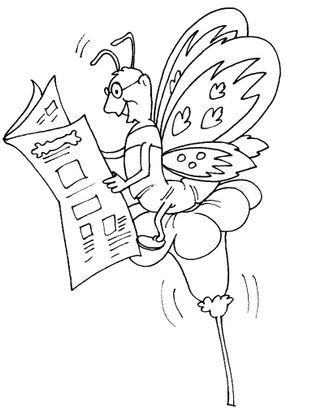 Coloriage Papillon26  Coloriage Papillons  Coloriages Animaux