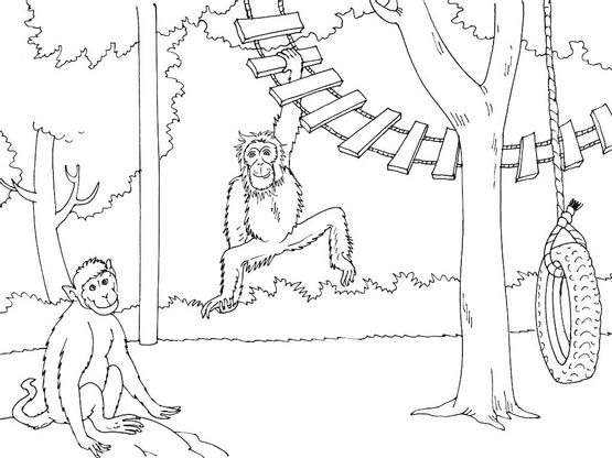 Coloriage Zoo 4 - Coloriage Zoo - Coloriages Animaux