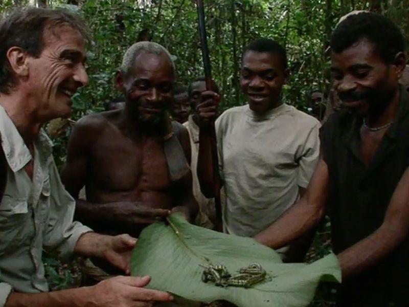 Madagascar Les Bons Genies De La Foret C'est pas sorcier