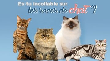 Quizz Animaux