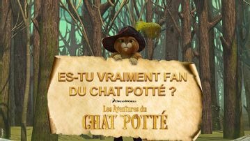 Gulli Mes Jeux Heros Le Chat Potte