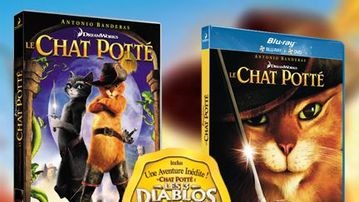 Le Chat Potte Debarque En Dvd
