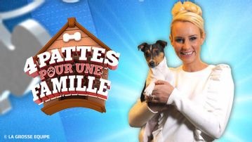 4 pattes pour une famille