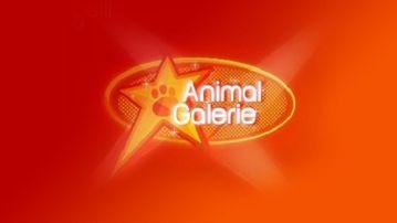 Animal Galerie