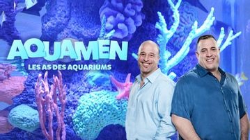 Aquamen : les as des aquariums 