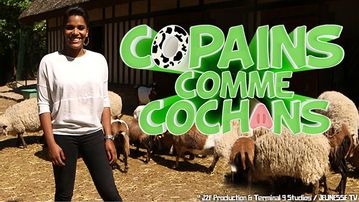 Copains Comme Cochons