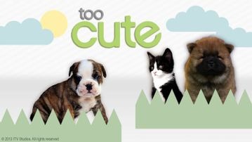 Too Cute