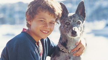 Rivaux mais pas trop